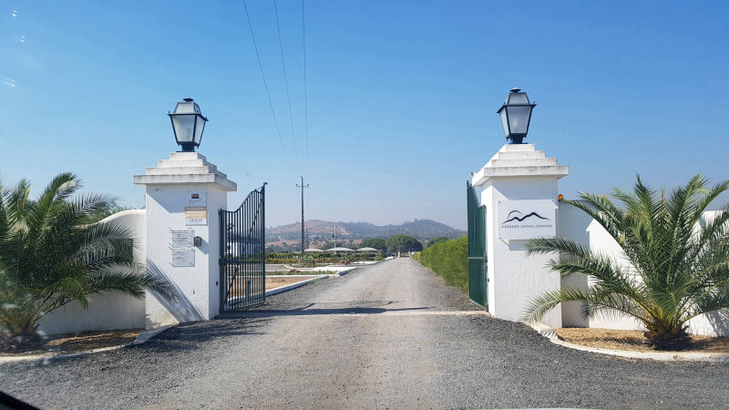 NU Meio da Vinha 2022