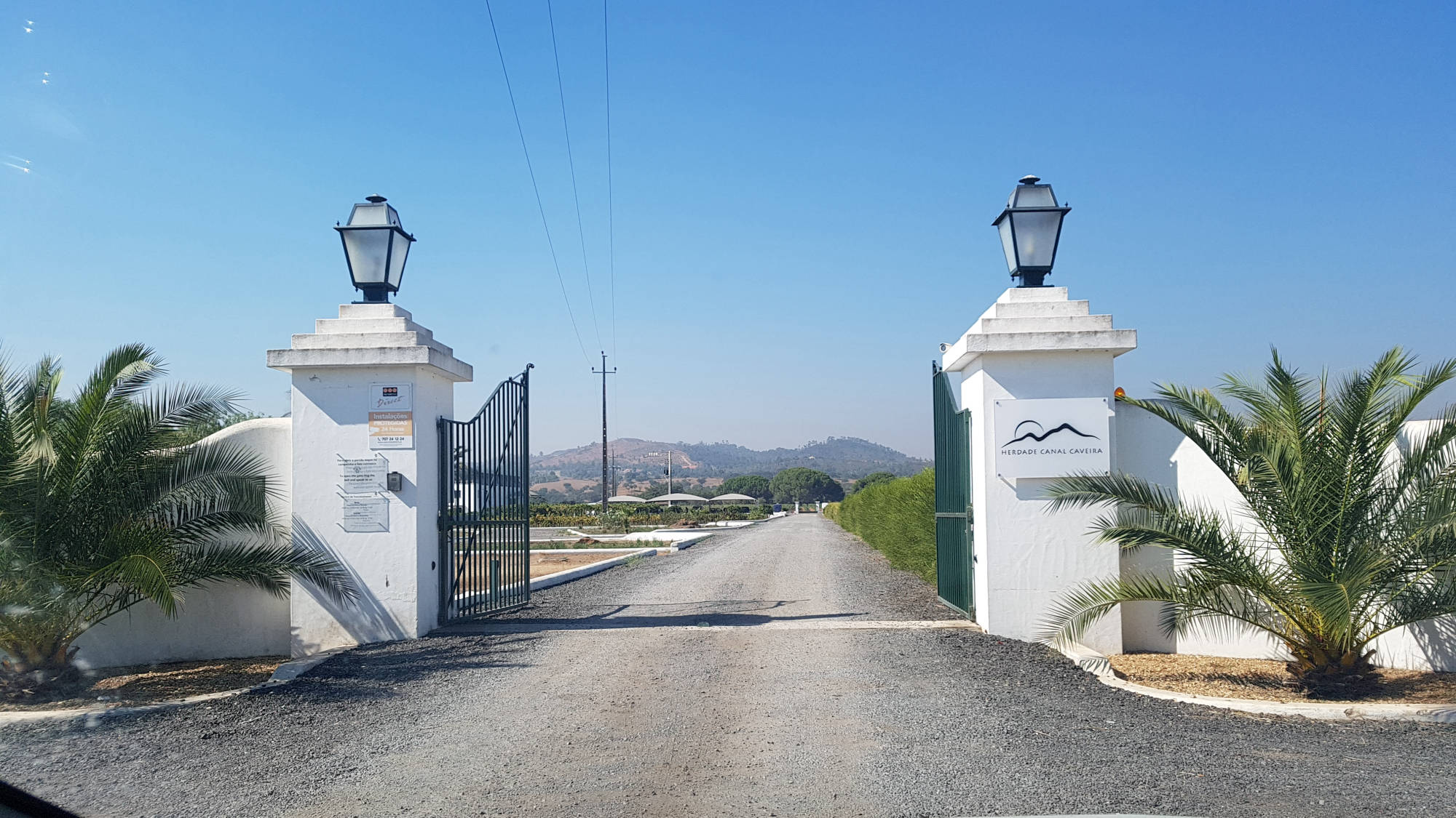 NU Meio da Vinha 2022